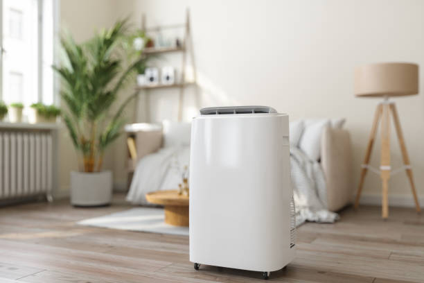 Best HVAC air duct cleaning  in Allen Park, MI